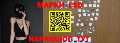 ГАЛЛЮЦИНОГЕННЫЕ ГРИБЫ Кингисепп