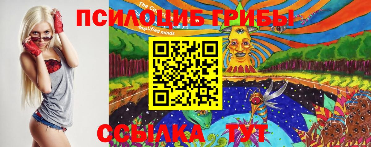 Псилоцибиновые грибы мицелий Озёрск