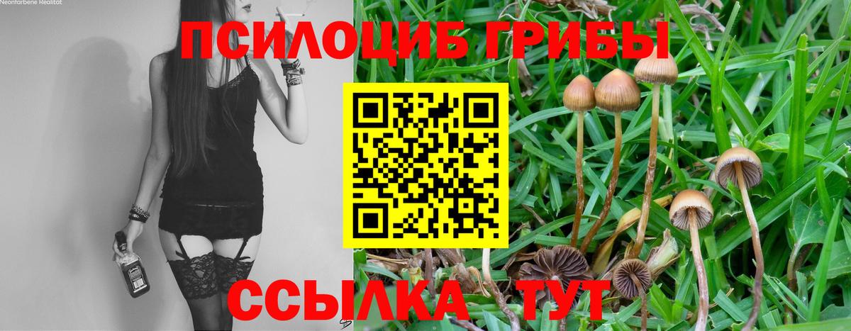 Озёрск  Галлюциногенные грибы MAGIC MUSHROOMS  Вход с VPN 